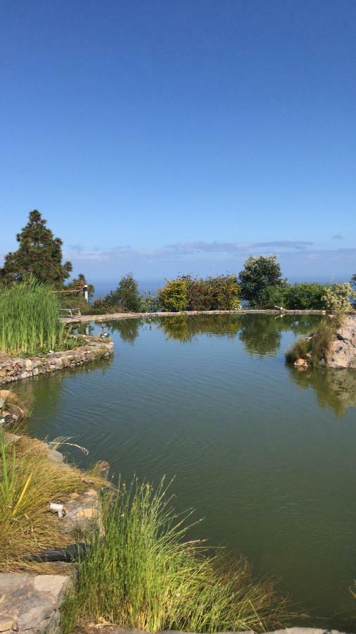 Riendas Vivas La Guancha Εξωτερικό φωτογραφία