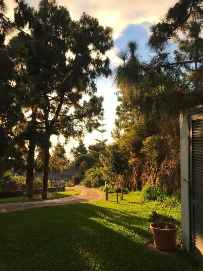 Riendas Vivas La Guancha Εξωτερικό φωτογραφία